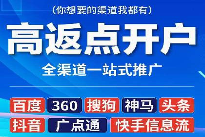 竞价广告在XX行业的成功应用案例